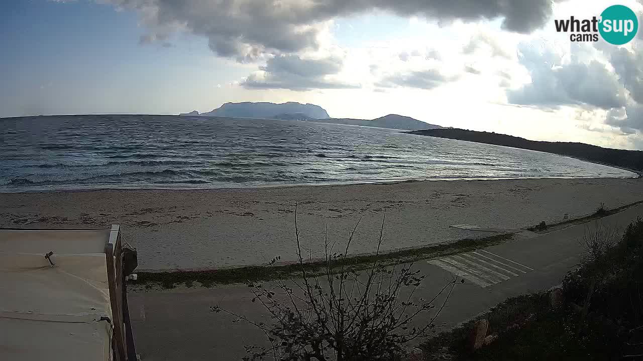 Plaža Pittulongu spletna kamera v živo Olbia – Sardinija – Italija