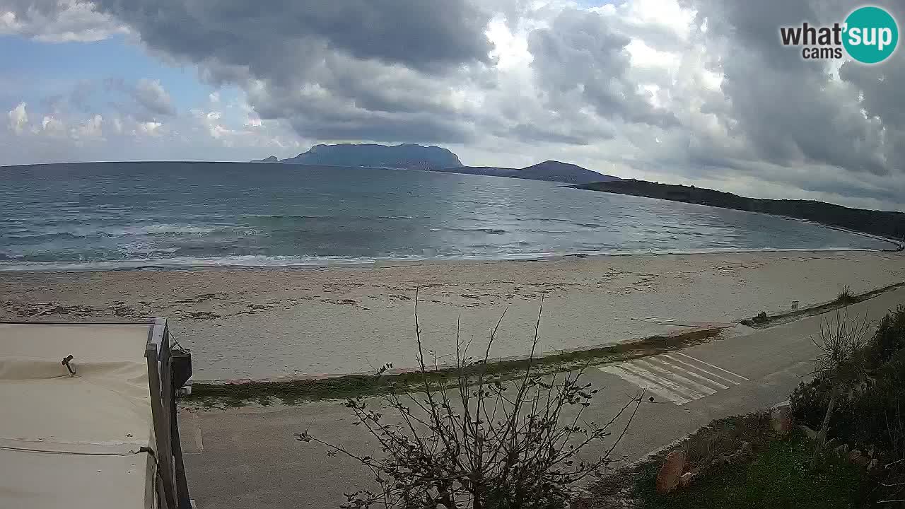 La webcam spiaggia Pittulongu vicino Olbia – Sardegna