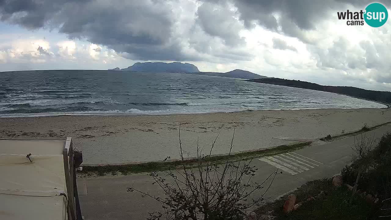 La plage de Pittulongu en direct webcam Olbia – Sardaigne – Italie