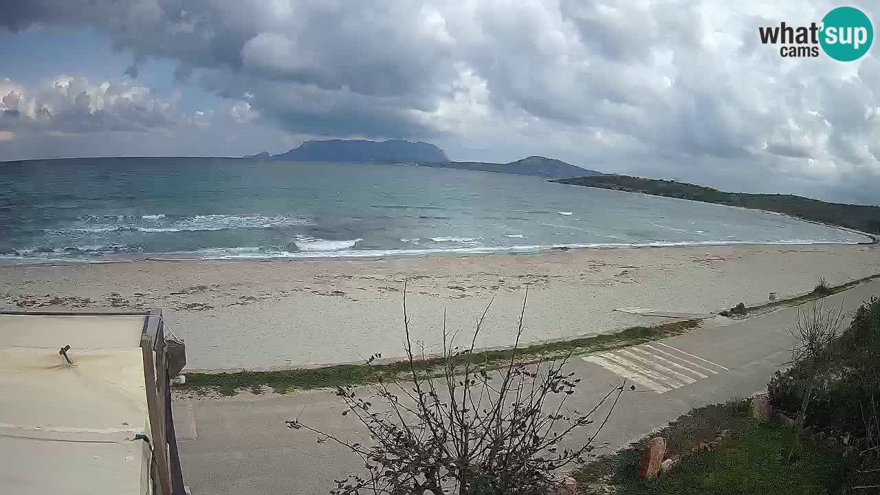 The beach of Pittulongu live webcam Olbia – Sardinia – Italy