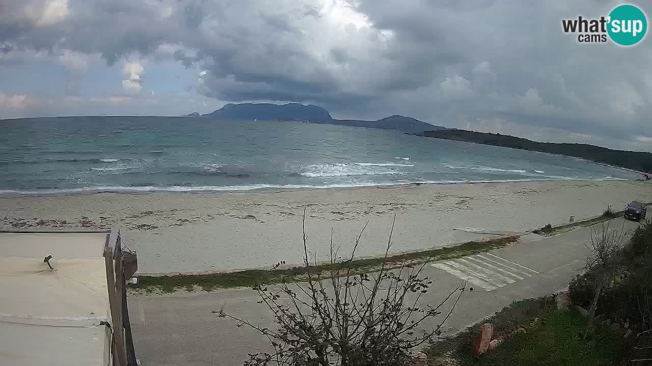 Der Strand von Pittulongu Live-Webcam Olbia – Sardinien – Italien