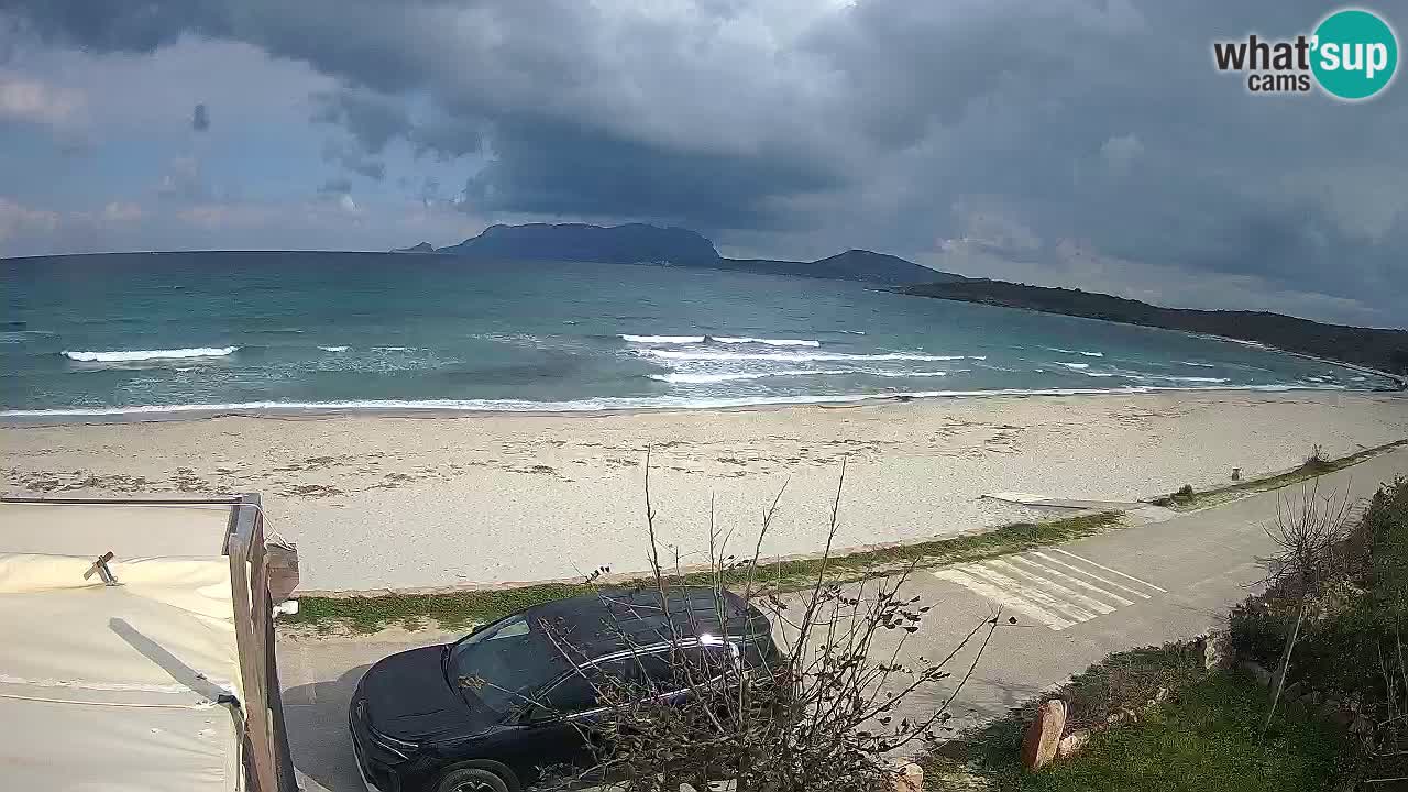 Der Strand von Pittulongu Live-Webcam Olbia – Sardinien – Italien