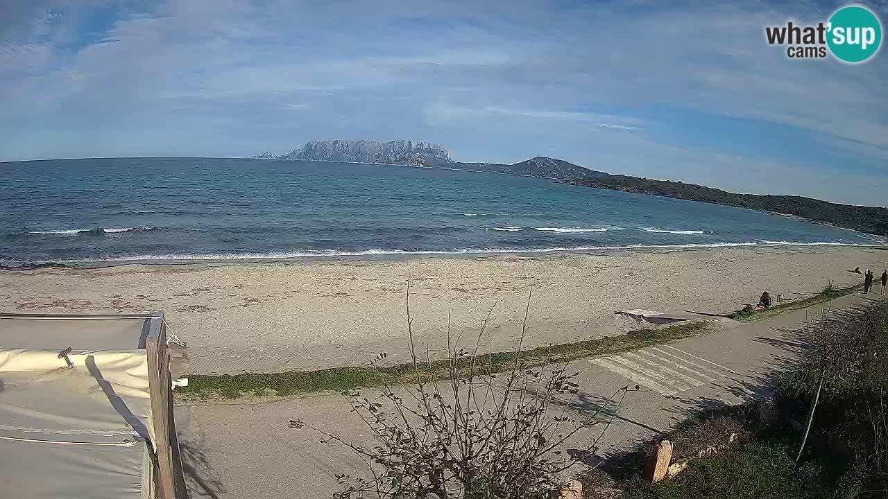 The beach of Pittulongu live webcam Olbia – Sardinia – Italy