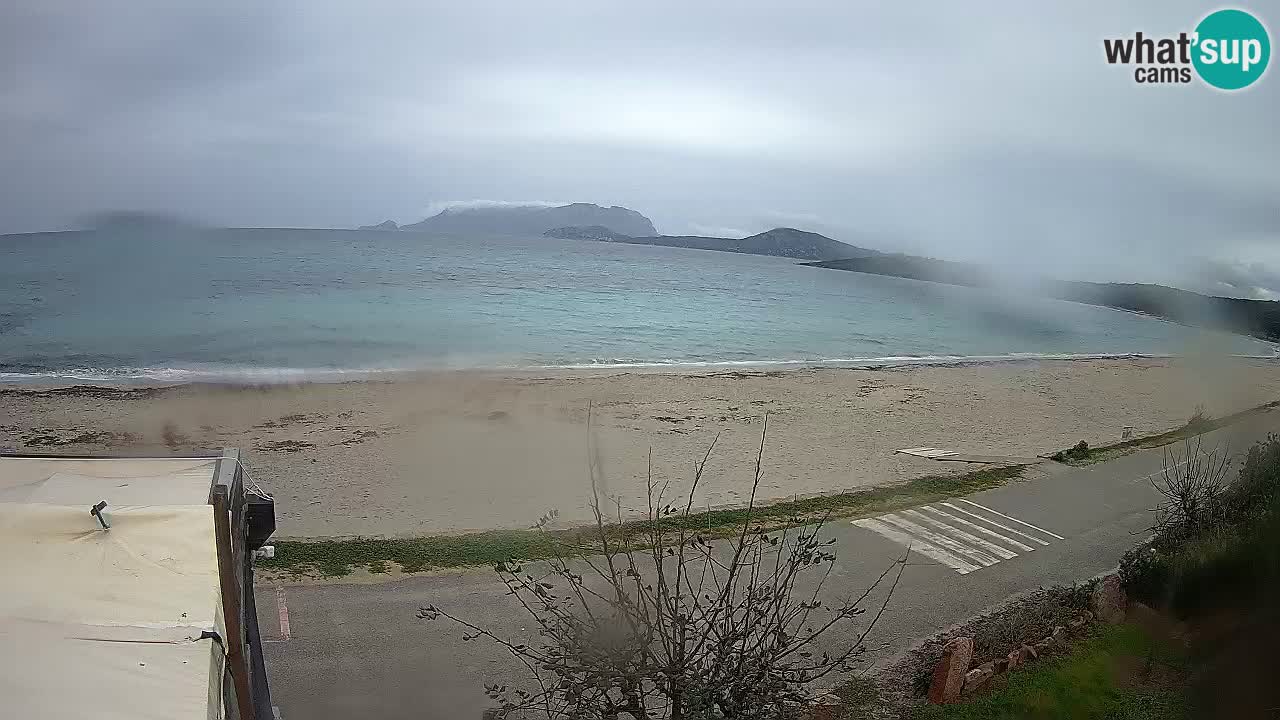 La webcam spiaggia Pittulongu vicino Olbia – Sardegna