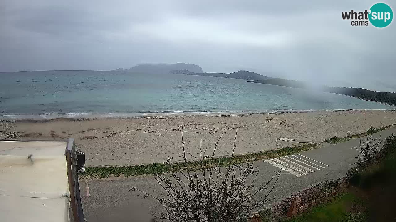 La webcam spiaggia Pittulongu vicino Olbia – Sardegna