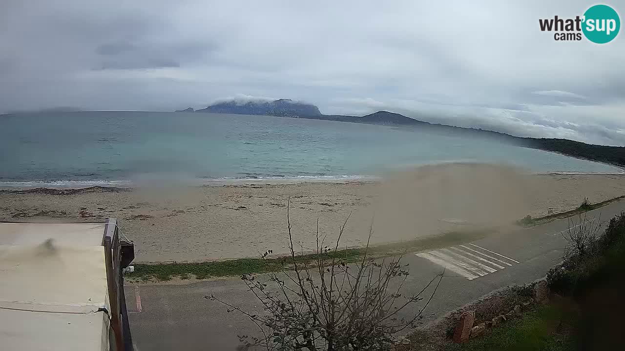 The beach of Pittulongu live webcam Olbia – Sardinia – Italy