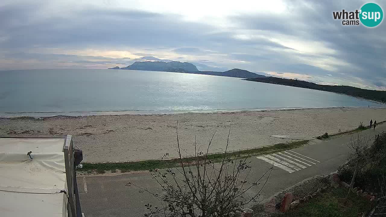 La plage de Pittulongu en direct webcam Olbia – Sardaigne – Italie