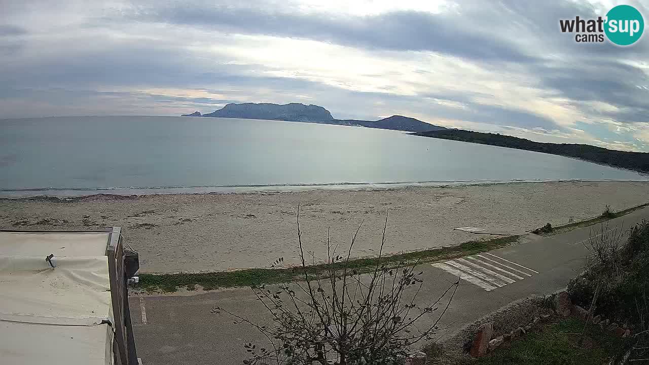 The beach of Pittulongu live webcam Olbia – Sardinia – Italy