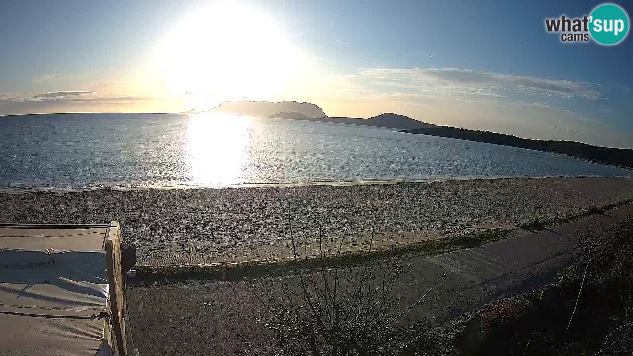 La plage de Pittulongu en direct webcam Olbia – Sardaigne – Italie