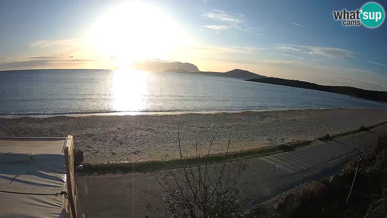 The beach of Pittulongu live webcam Olbia – Sardinia – Italy