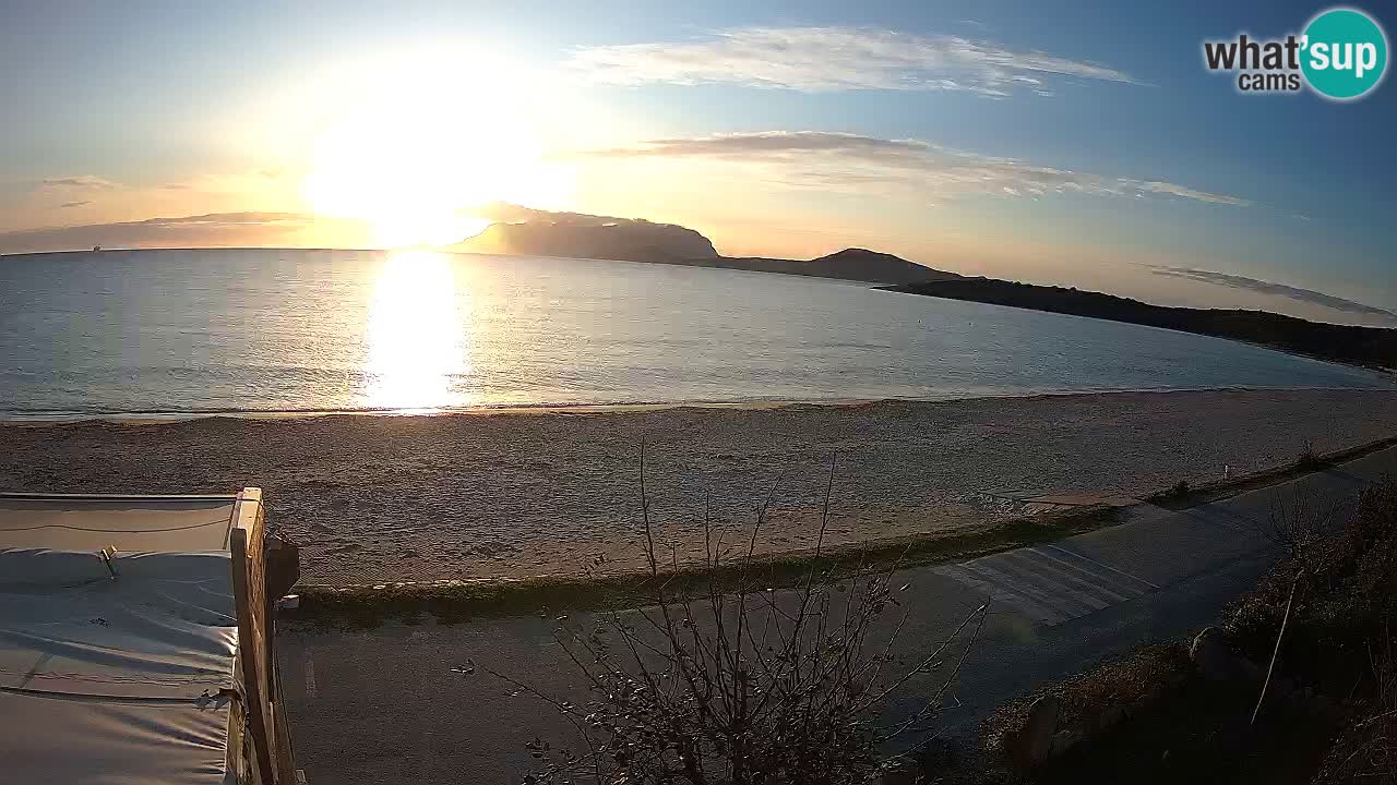 Der Strand von Pittulongu Live-Webcam Olbia – Sardinien – Italien