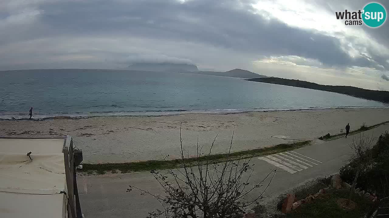 Der Strand von Pittulongu Live-Webcam Olbia – Sardinien – Italien