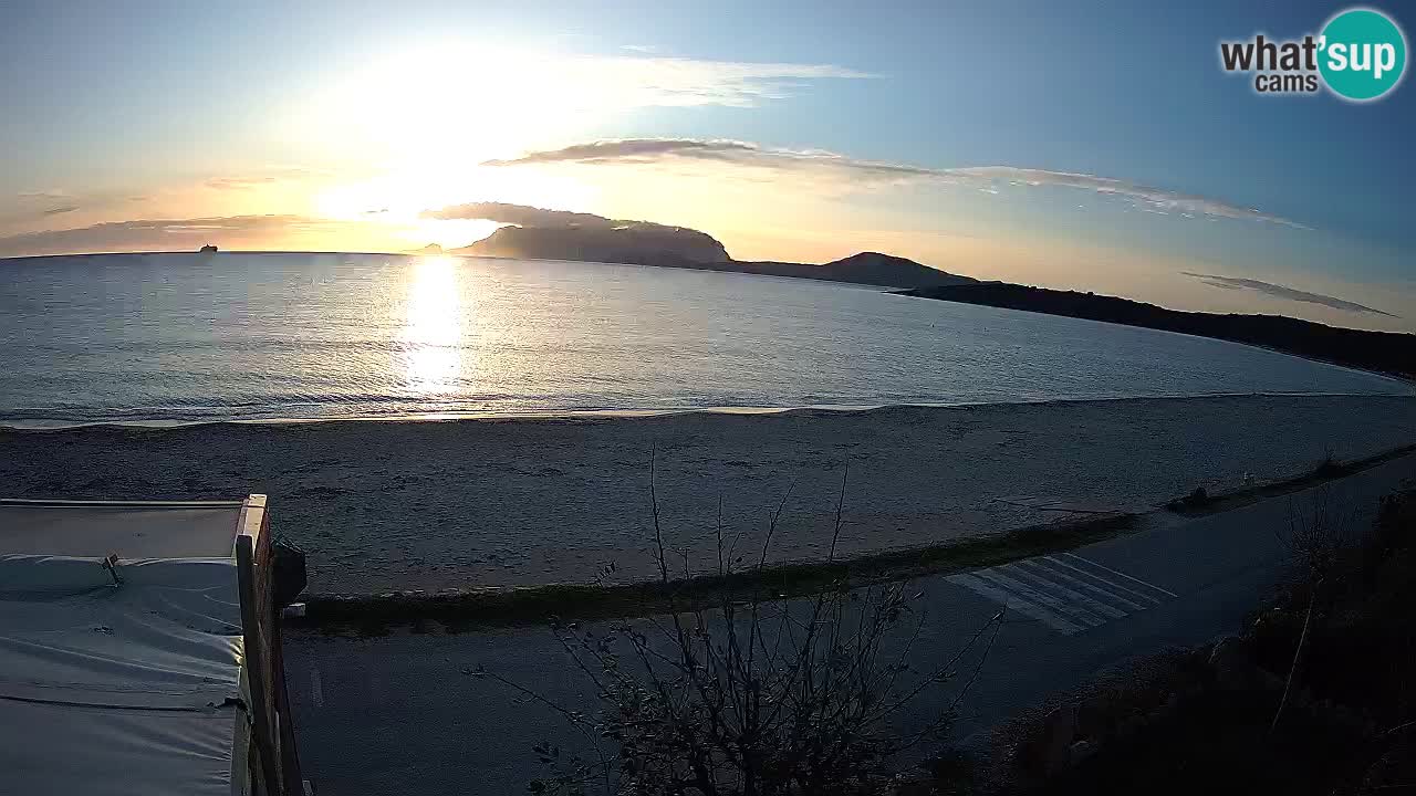 Der Strand von Pittulongu Live-Webcam Olbia – Sardinien – Italien