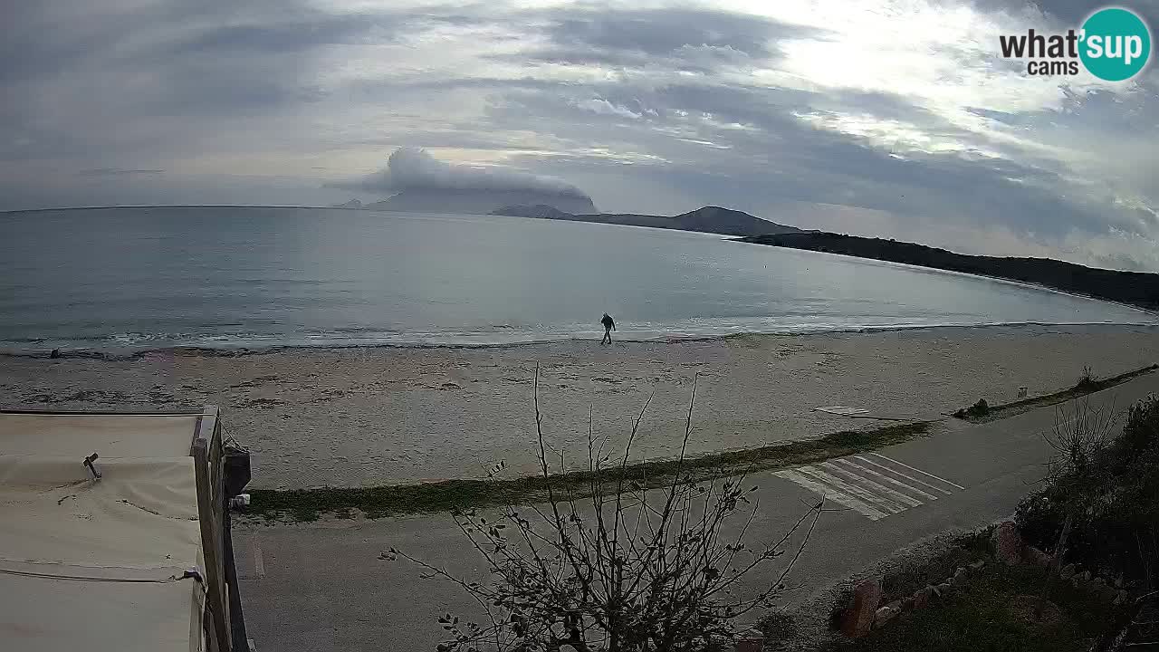 La playa de Pittulongu webcam en vivo Olbia – Cerdeña – Italia