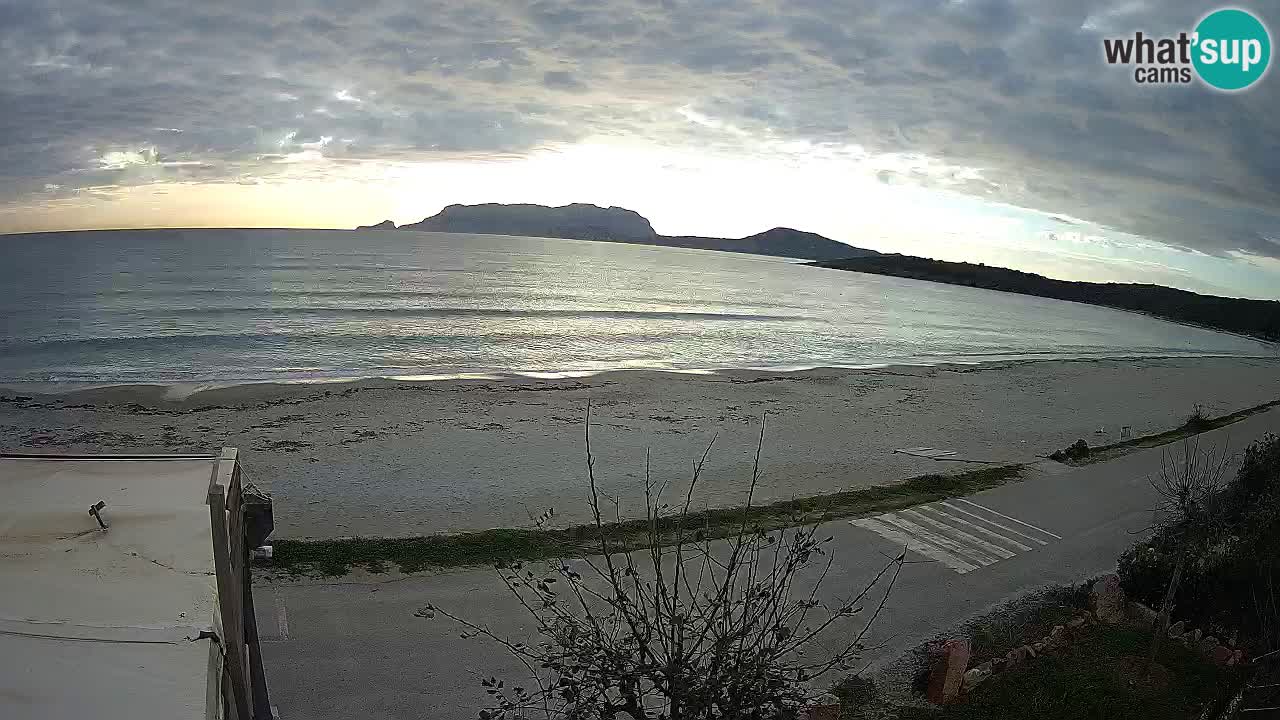 La playa de Pittulongu webcam en vivo Olbia – Cerdeña – Italia