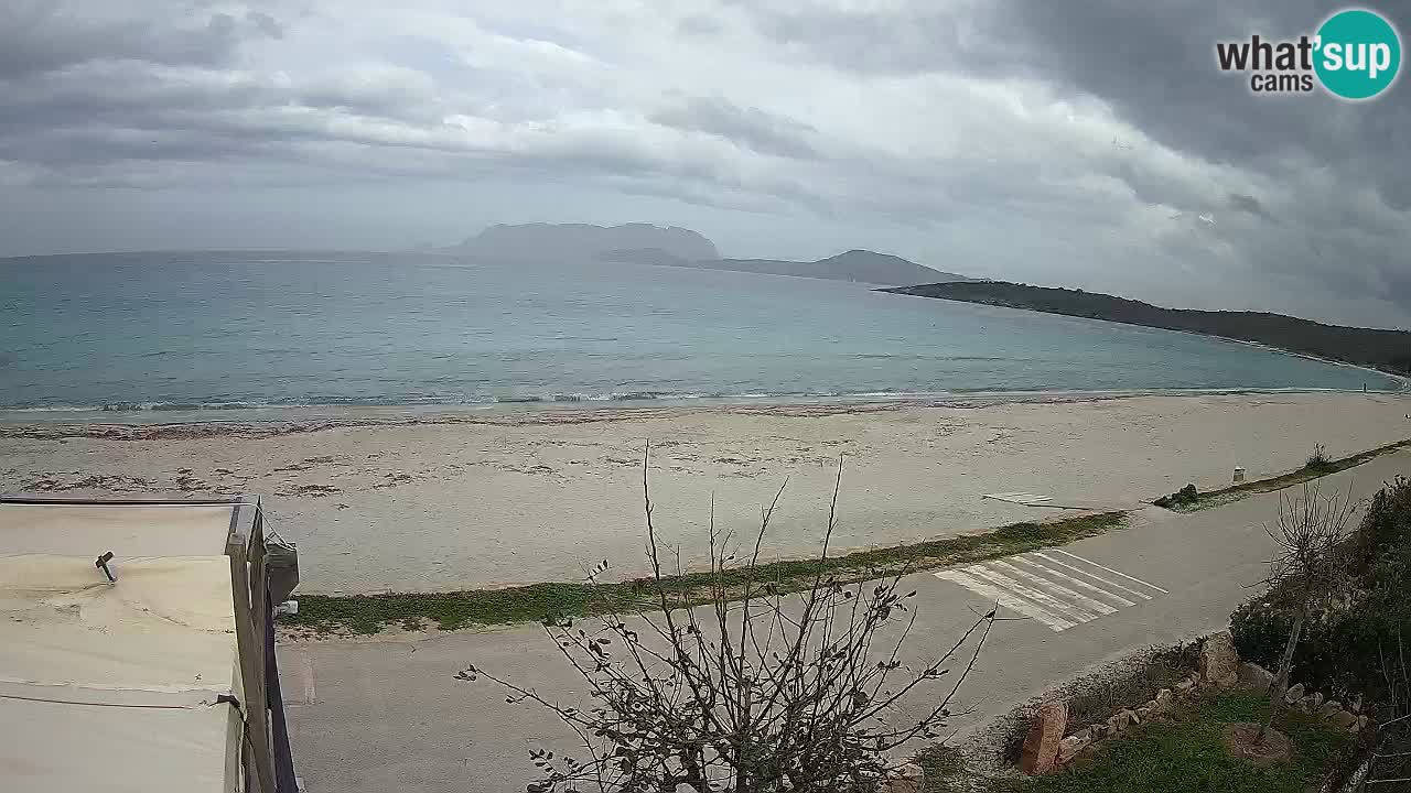 La plage de Pittulongu en direct webcam Olbia – Sardaigne – Italie