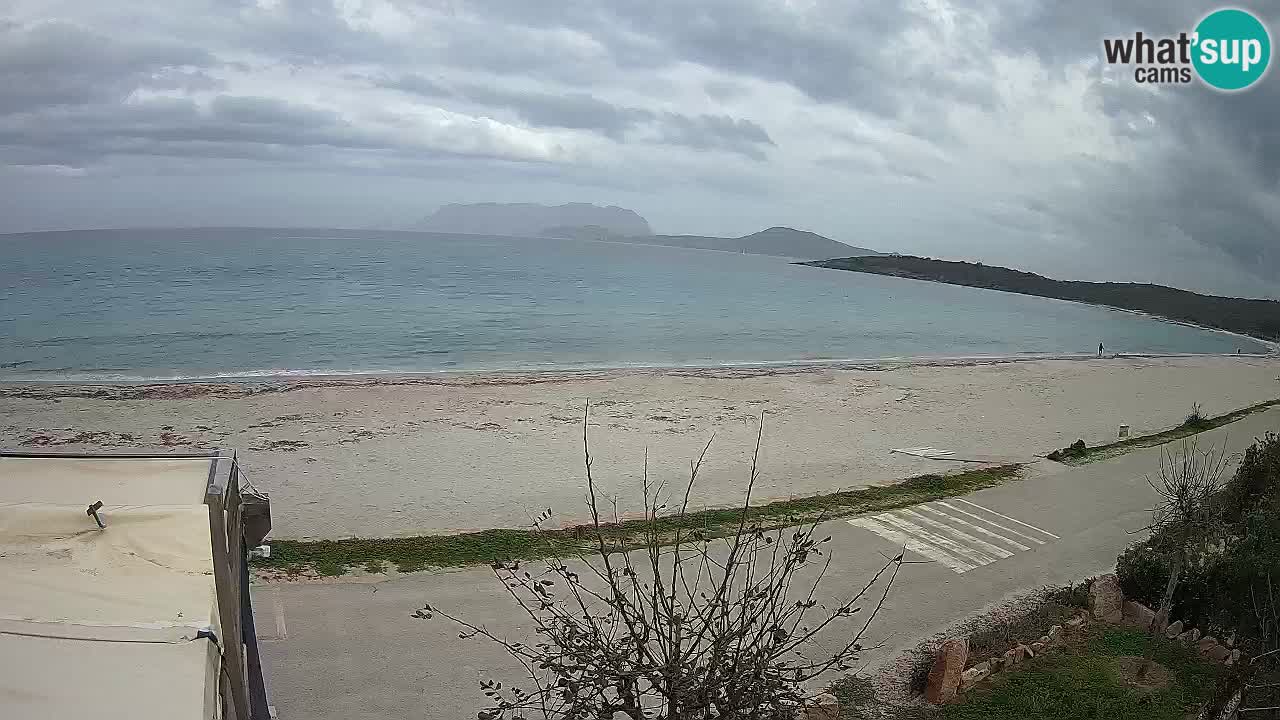 Der Strand von Pittulongu Live-Webcam Olbia – Sardinien – Italien