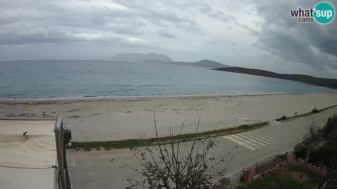 La plage de Pittulongu en direct webcam Olbia – Sardaigne – Italie