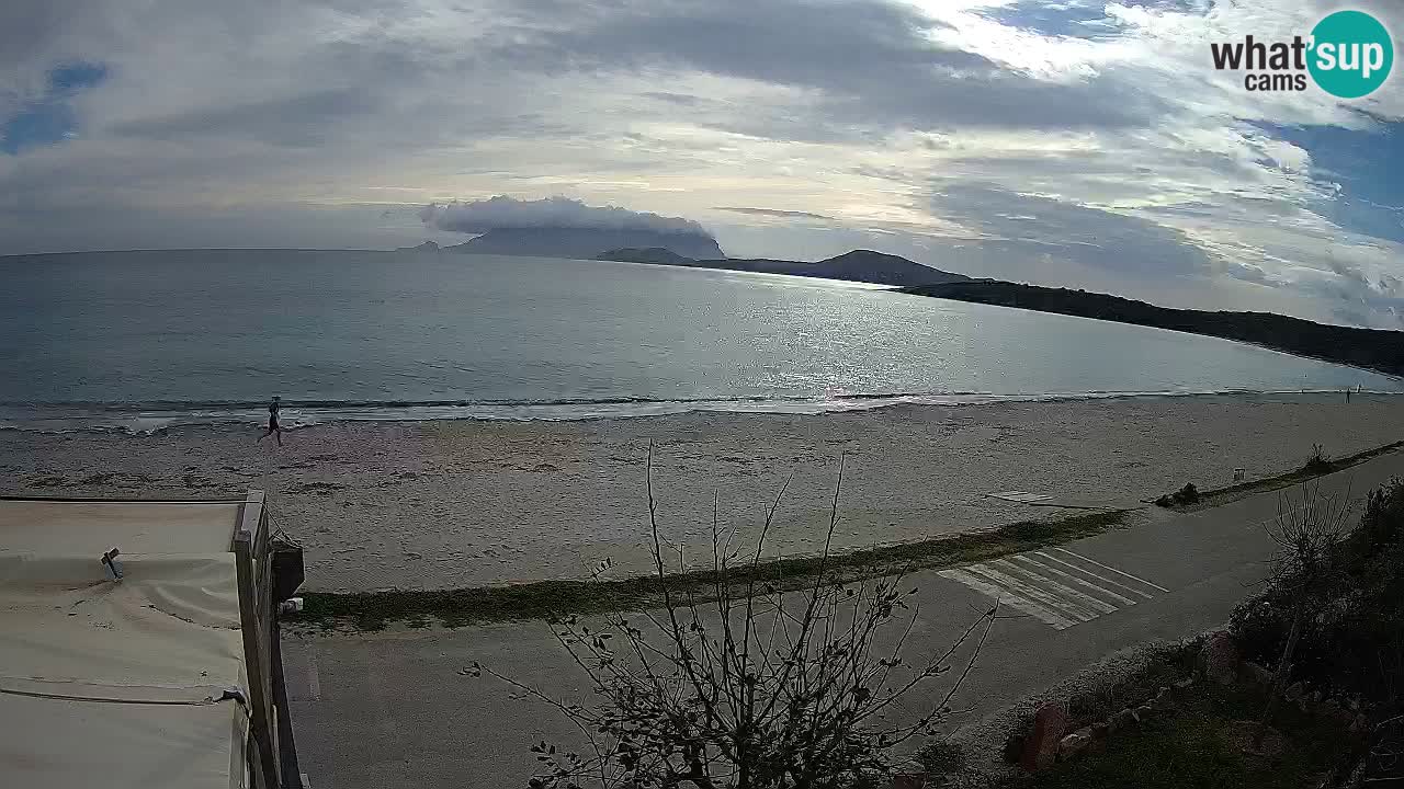 La plage de Pittulongu en direct webcam Olbia – Sardaigne – Italie