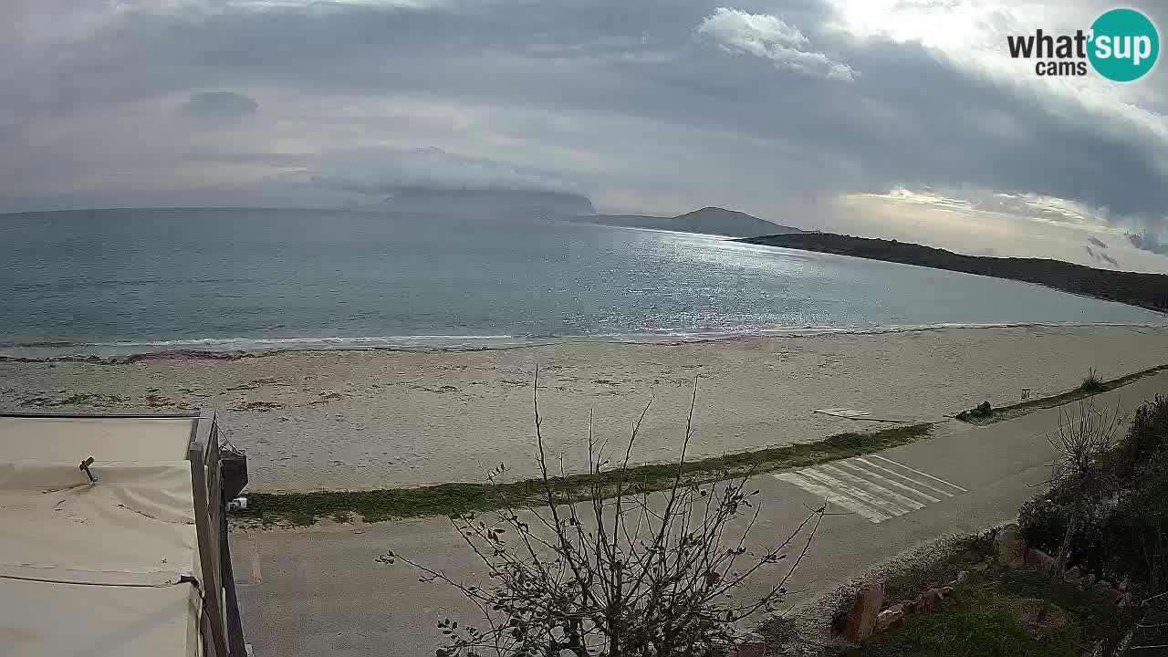 La playa de Pittulongu webcam en vivo Olbia – Cerdeña – Italia