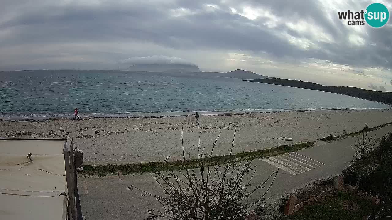 La playa de Pittulongu webcam en vivo Olbia – Cerdeña – Italia