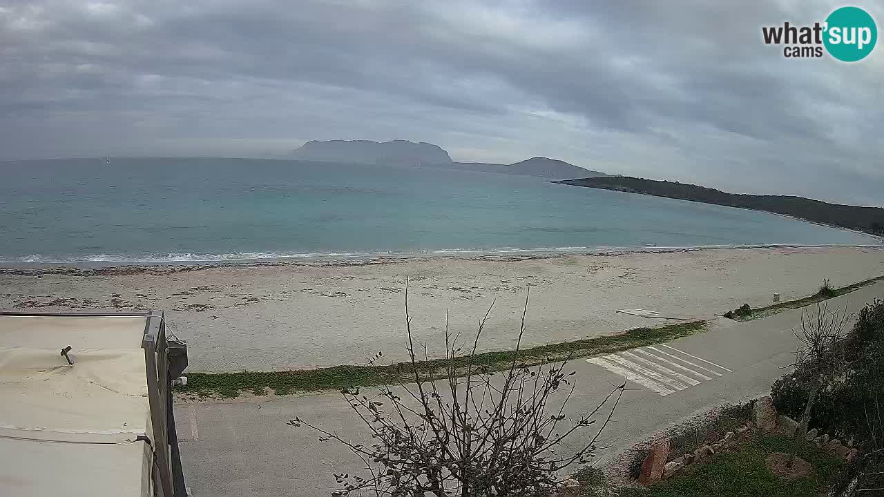 La plage de Pittulongu en direct webcam Olbia – Sardaigne – Italie