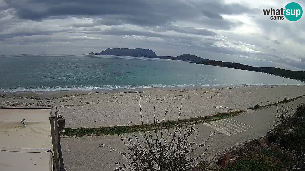 The beach of Pittulongu live webcam Olbia – Sardinia – Italy