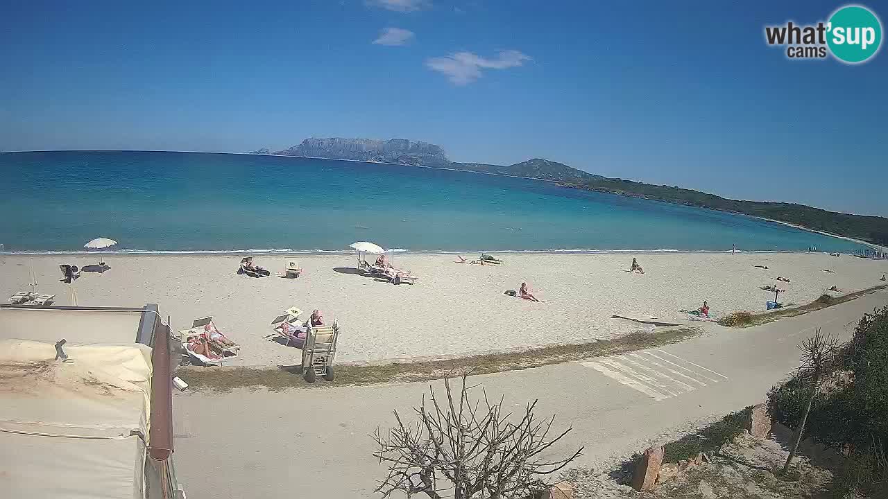 Plaža Pittulongu spletna kamera v živo Olbia – Sardinija – Italija