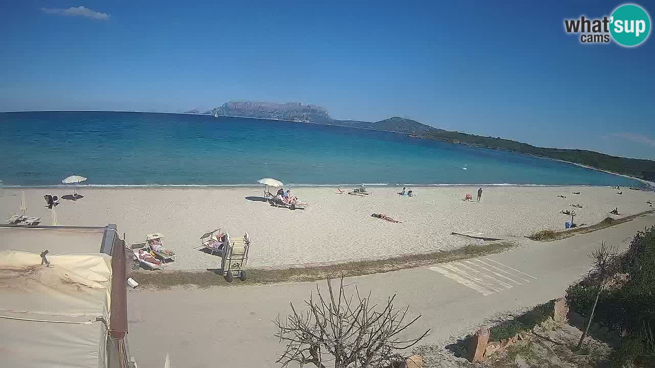 The beach of Pittulongu live webcam Olbia – Sardinia – Italy