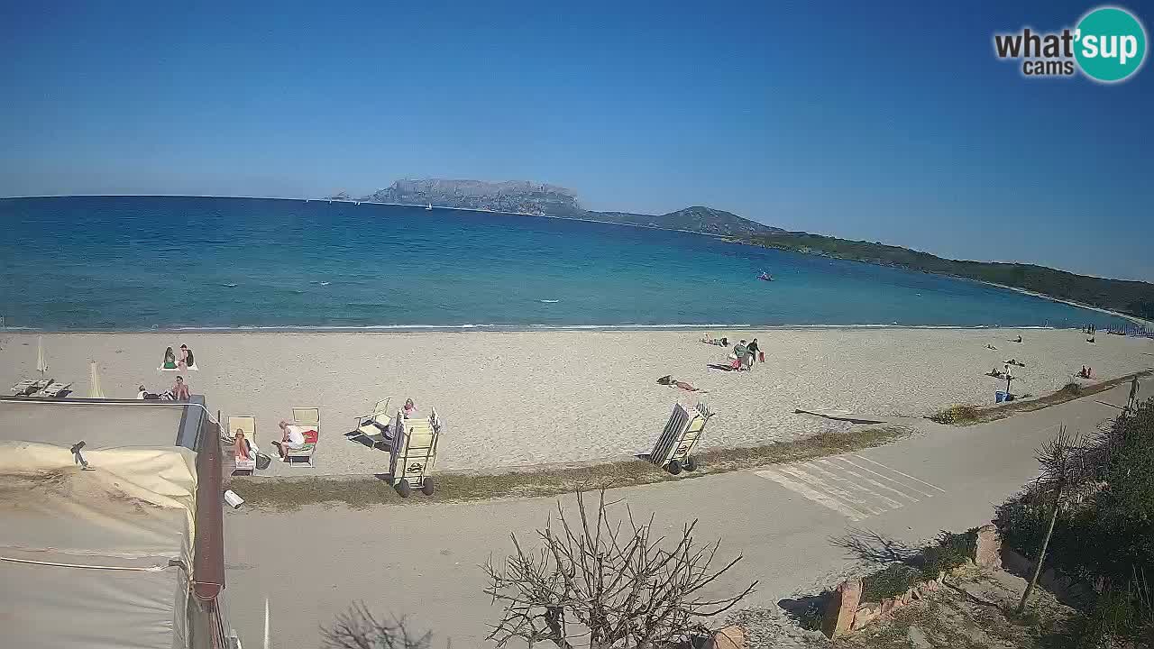 Plaža Pittulongu spletna kamera v živo Olbia – Sardinija – Italija