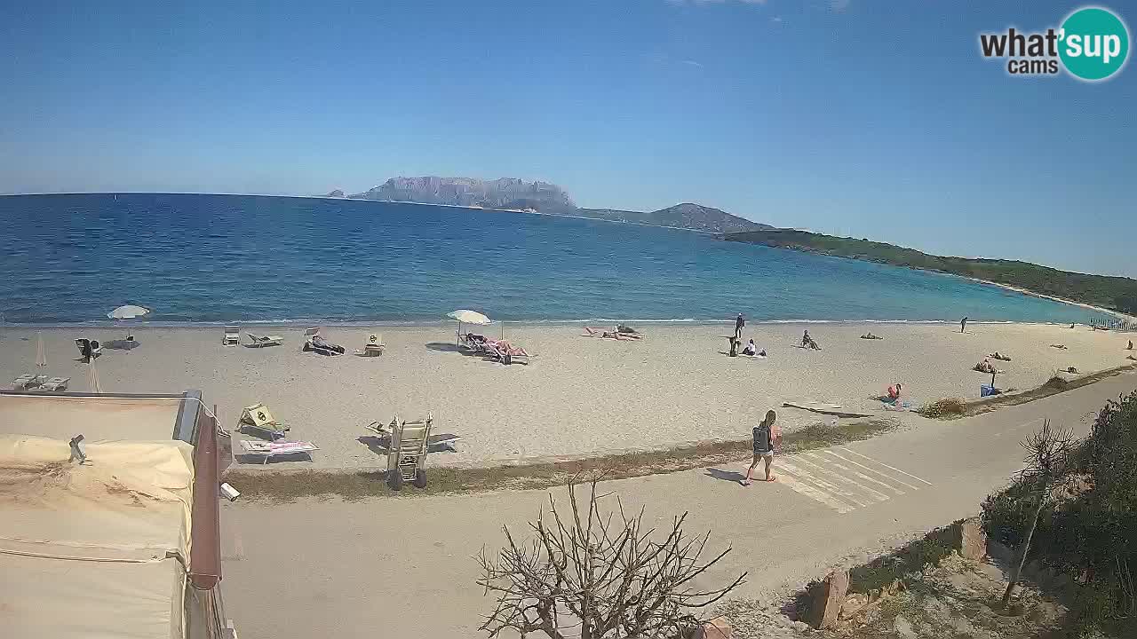La playa de Pittulongu webcam en vivo Olbia – Cerdeña – Italia