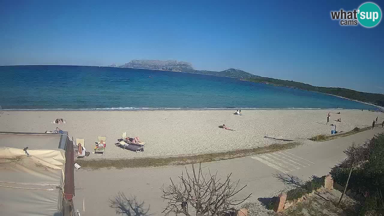 The beach of Pittulongu live webcam Olbia – Sardinia – Italy