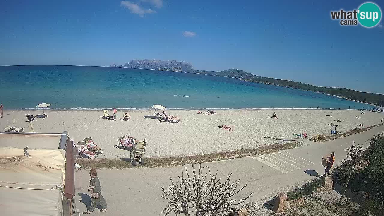 The beach of Pittulongu live webcam Olbia – Sardinia – Italy