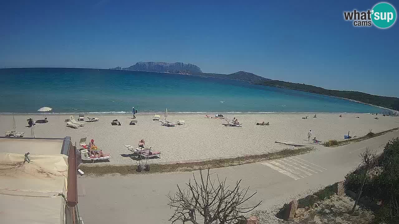 La plage de Pittulongu en direct webcam Olbia – Sardaigne – Italie