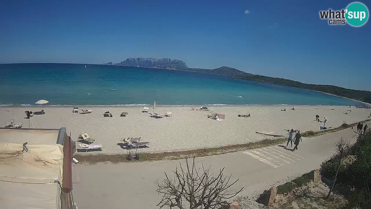 The beach of Pittulongu live webcam Olbia – Sardinia – Italy