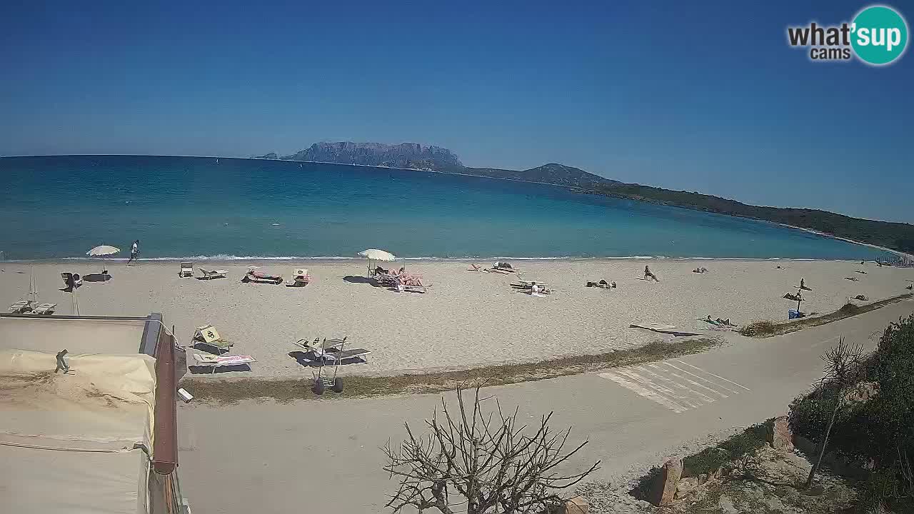 Plaža Pittulongu uživo web kamera Olbia – Sardinija – Italija