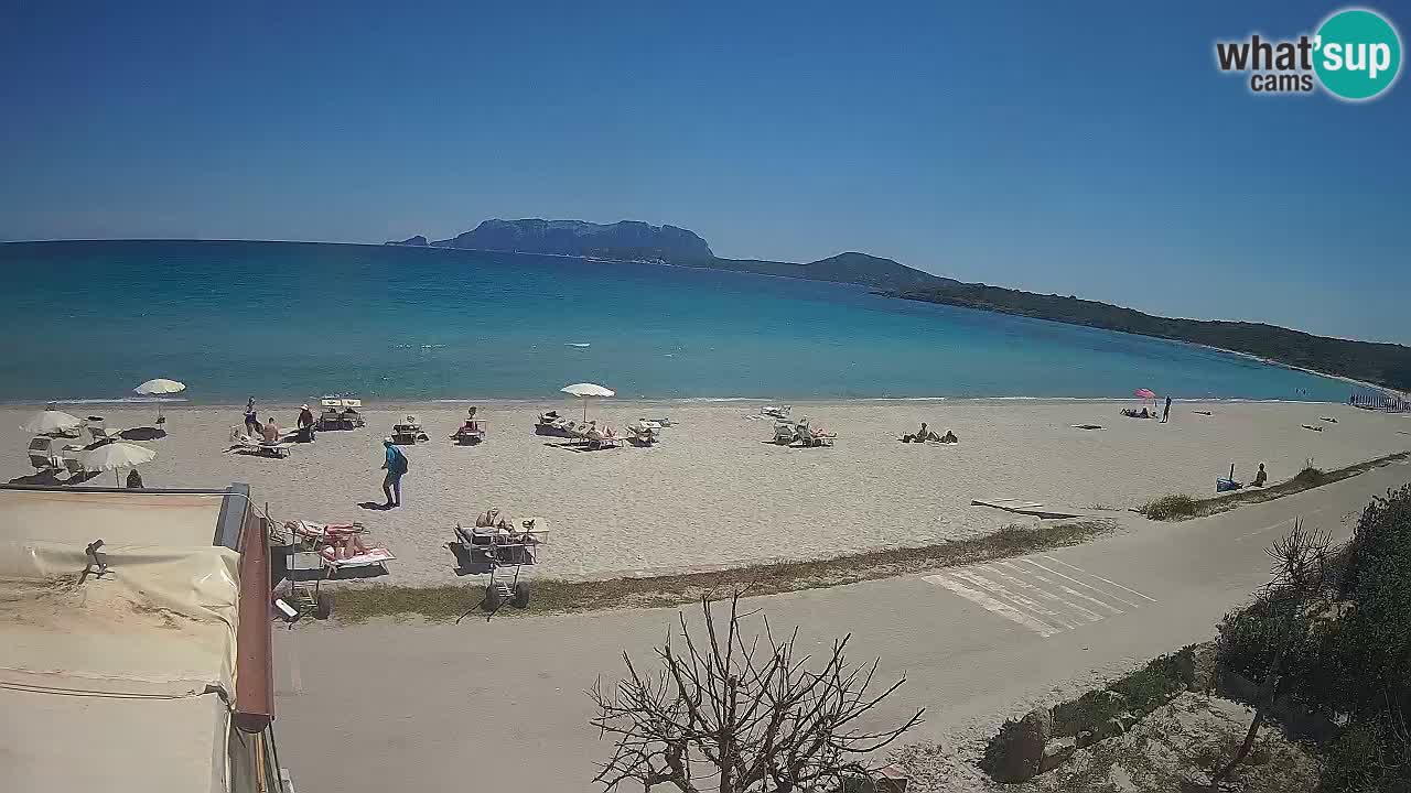 Der Strand von Pittulongu Live-Webcam Olbia – Sardinien – Italien
