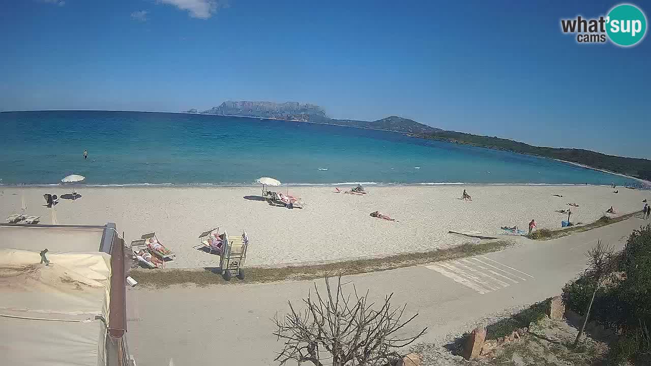 La plage de Pittulongu en direct webcam Olbia – Sardaigne – Italie