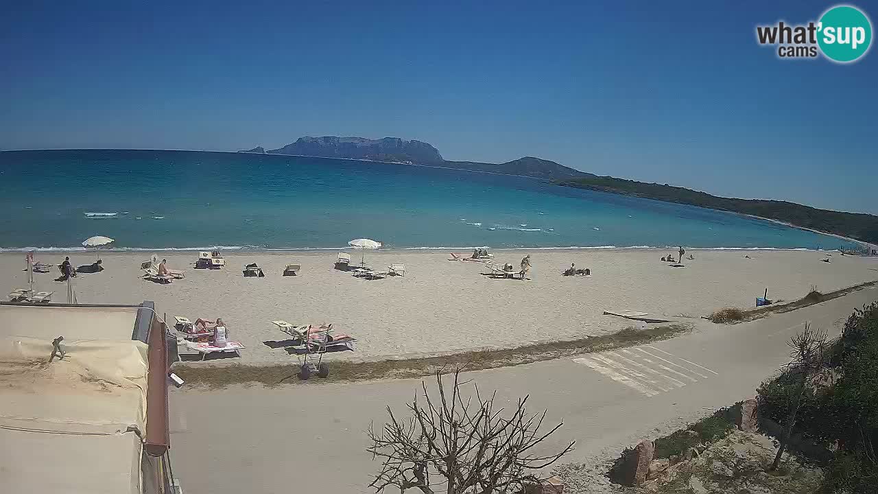 La webcam spiaggia Pittulongu vicino Olbia – Sardegna