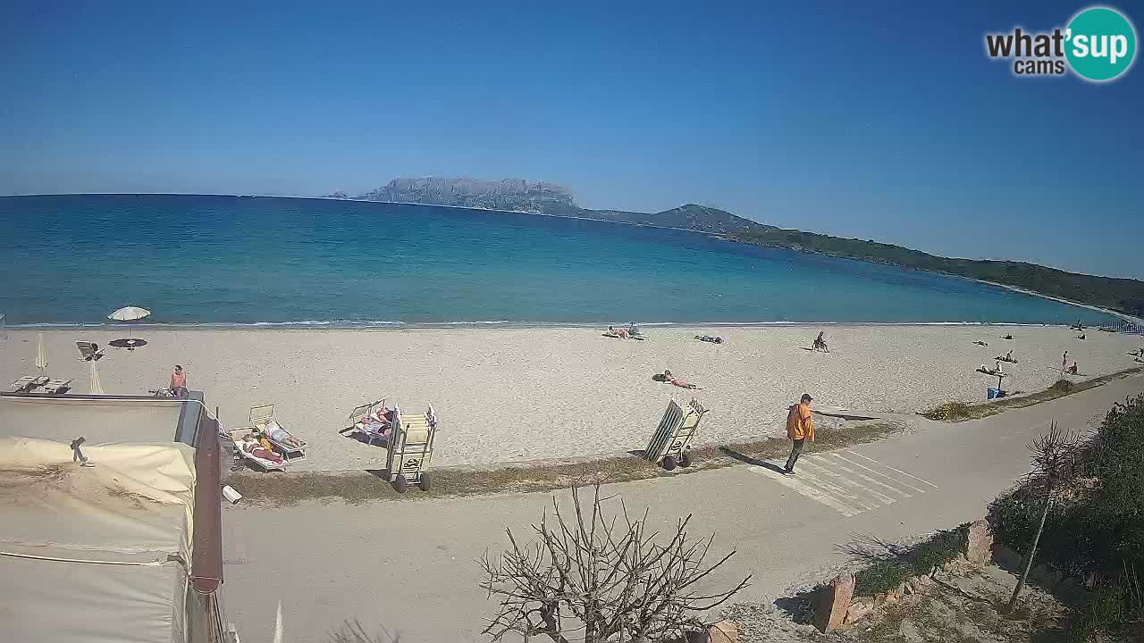 La webcam spiaggia Pittulongu vicino Olbia – Sardegna