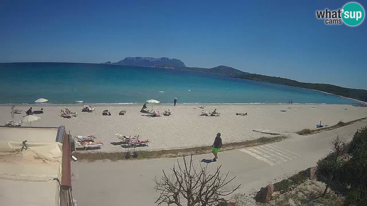 Plaža Pittulongu uživo web kamera Olbia – Sardinija – Italija