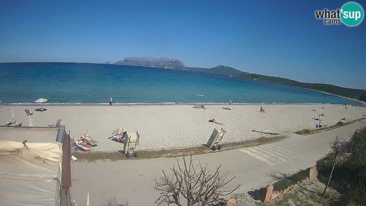 La webcam spiaggia Pittulongu vicino Olbia – Sardegna