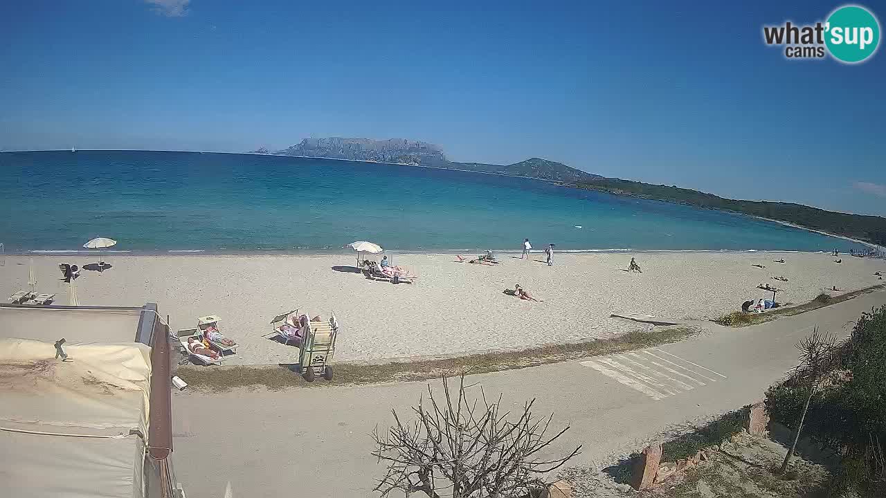 Plaža Pittulongu spletna kamera v živo Olbia – Sardinija – Italija