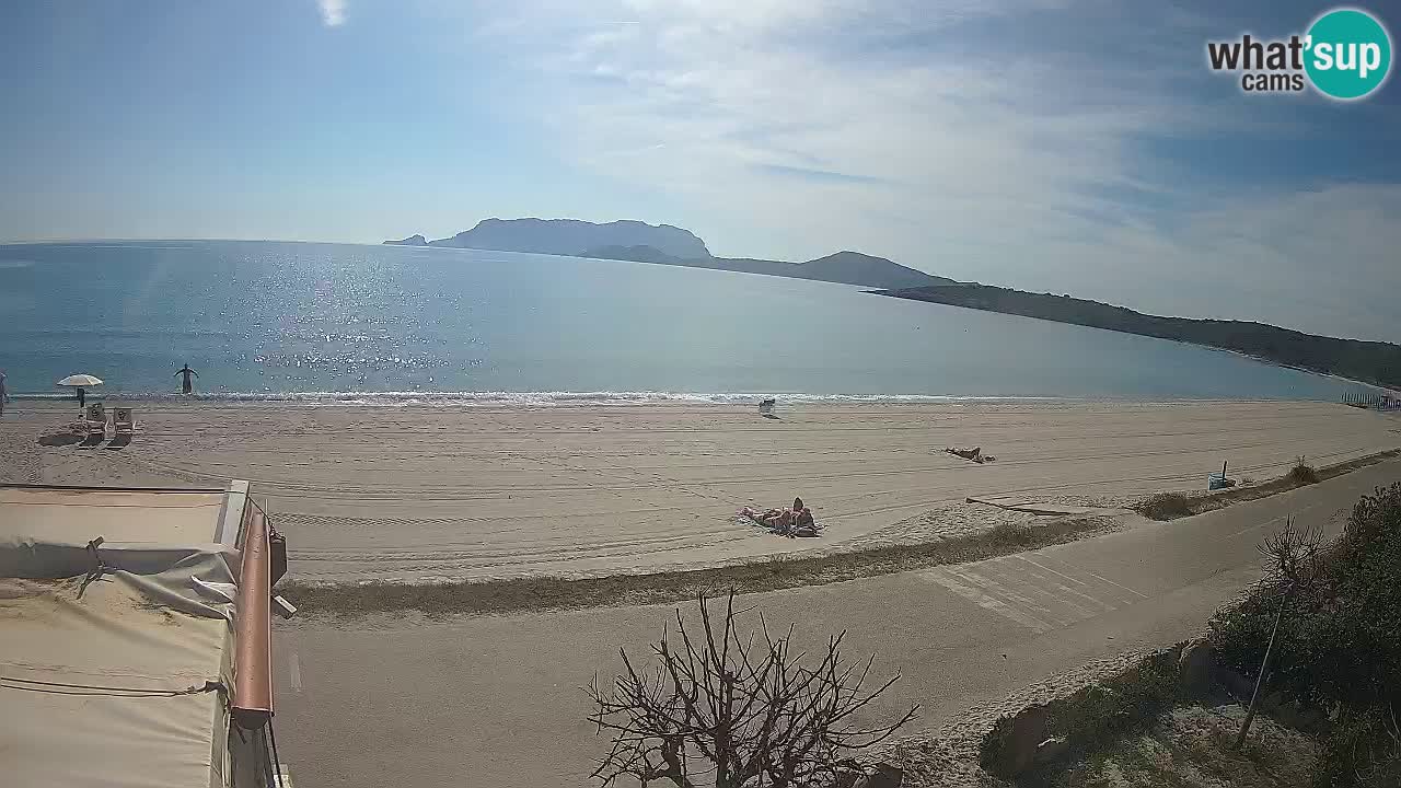 Der Strand von Pittulongu Live-Webcam Olbia – Sardinien – Italien
