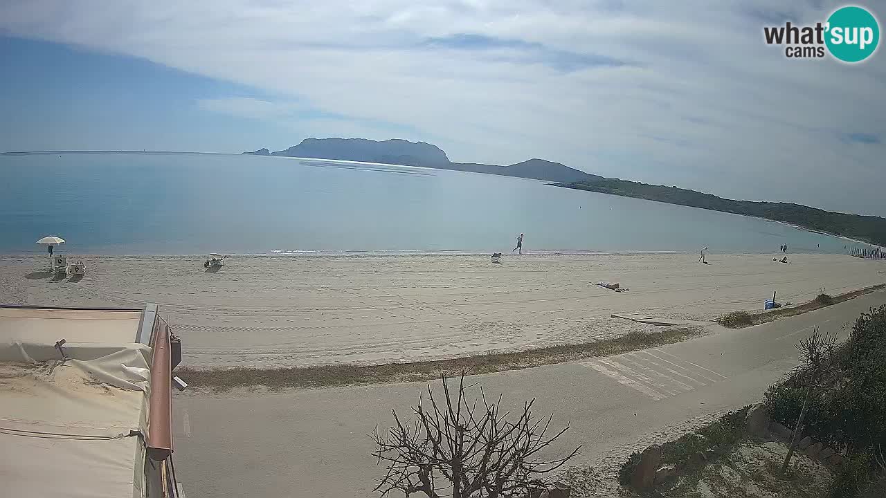Plaža Pittulongu uživo web kamera Olbia – Sardinija – Italija