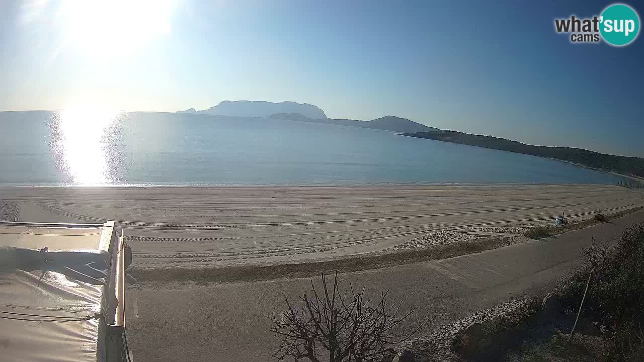 Der Strand von Pittulongu Live-Webcam Olbia – Sardinien – Italien