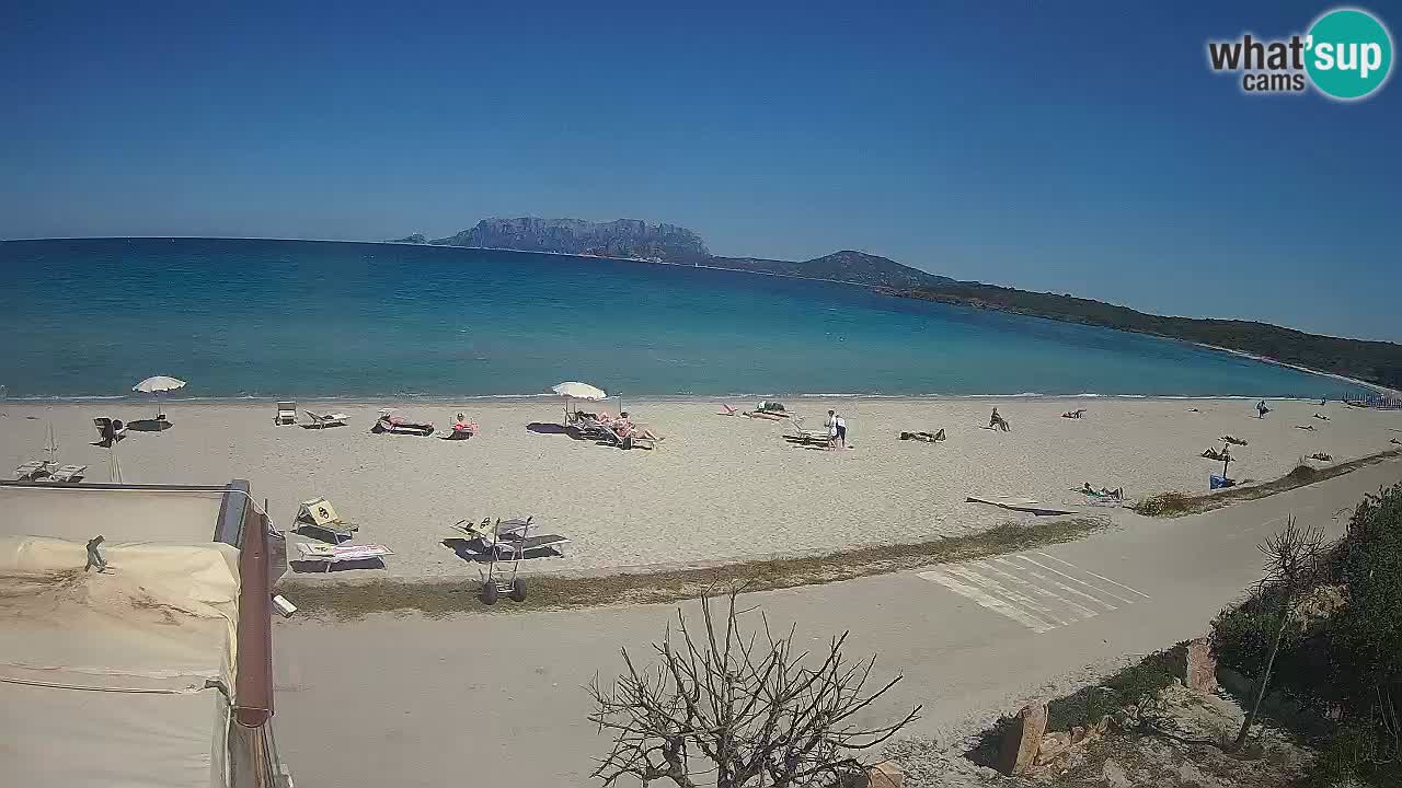 Der Strand von Pittulongu Live-Webcam Olbia – Sardinien – Italien