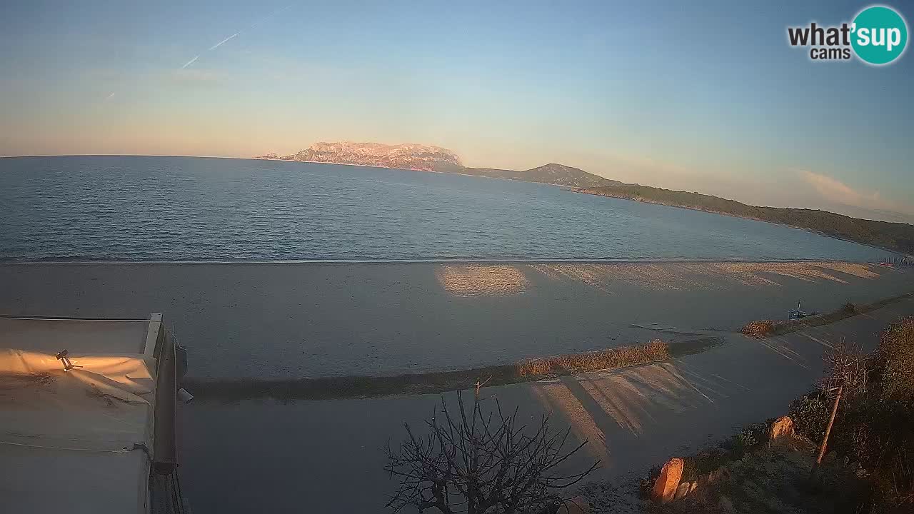 The beach of Pittulongu live webcam Olbia – Sardinia – Italy