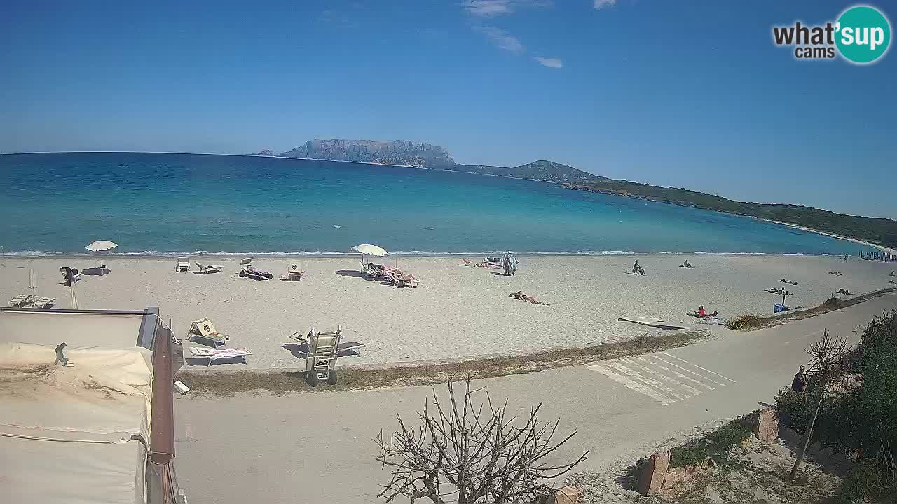 The beach of Pittulongu live webcam Olbia – Sardinia – Italy