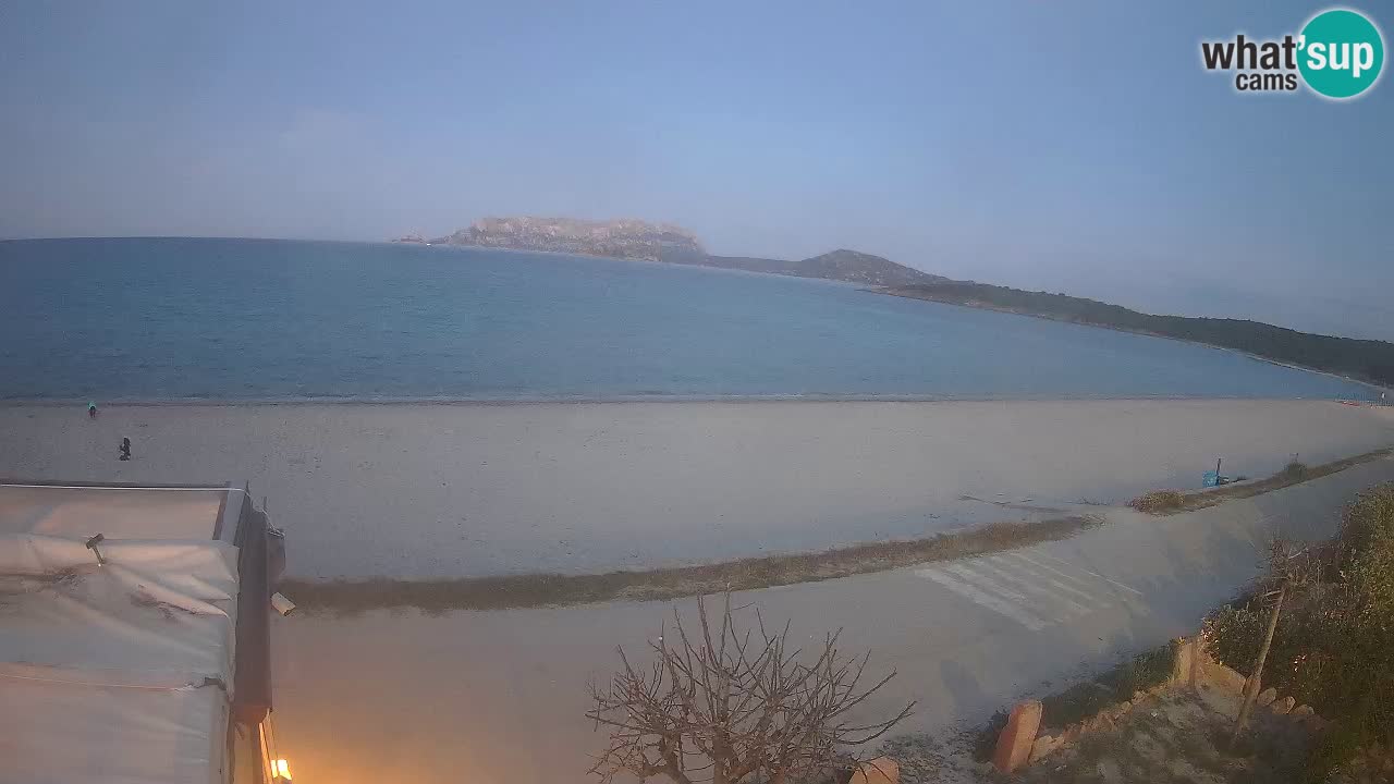 La playa de Pittulongu webcam en vivo Olbia – Cerdeña – Italia